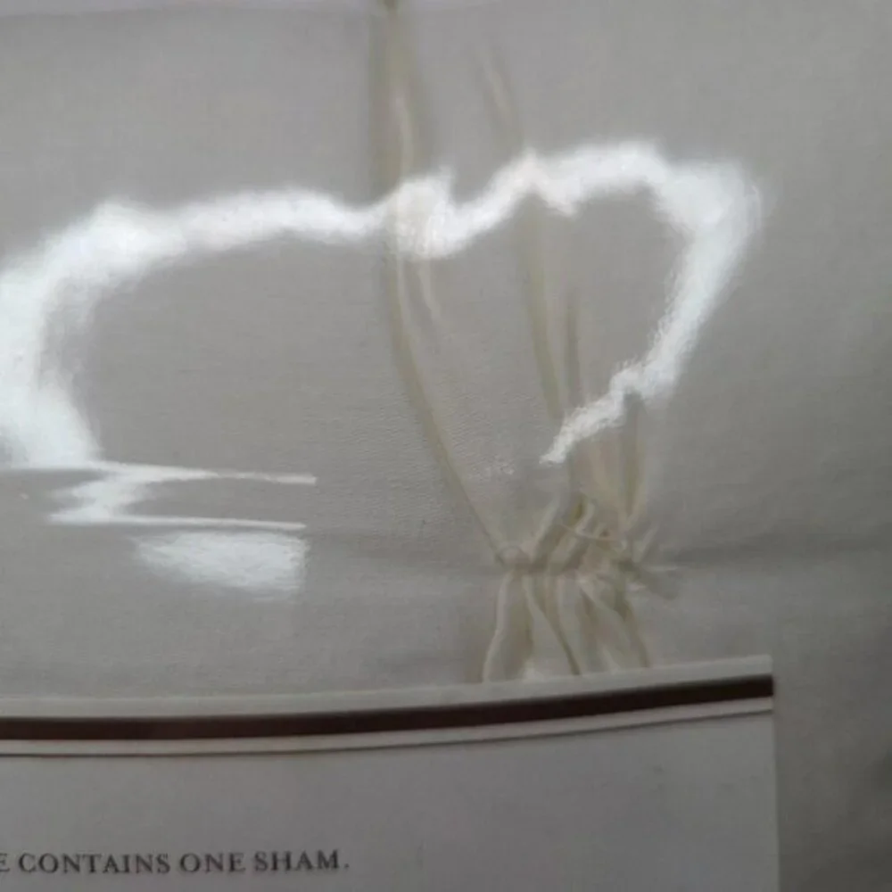 Pottery Barn Pillow Sham‎ Foundations Cotton Silk White Square 26 x 26 Euro New
